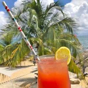 Paper straw, not plastics