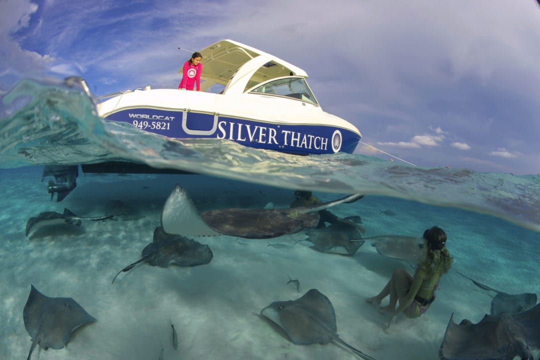 Silver Thatch Snorkel Charters Affordable Private Charters