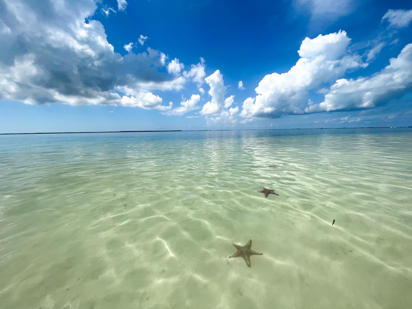 Starfish Point in Grand Cayman