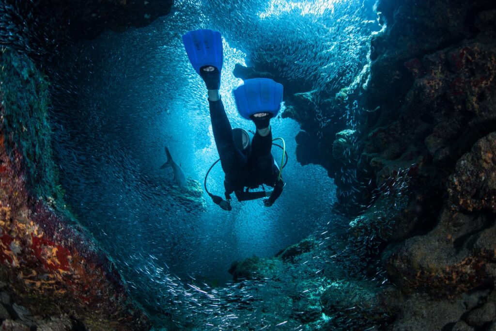 A diver underwater enjoying Grand Cayman Tours.
