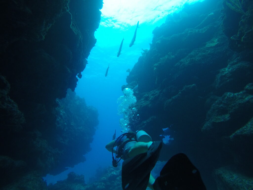 Diving Collection by Grand Cayman VIllas & Condos