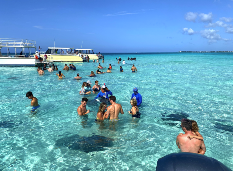 Charters to Stingray City